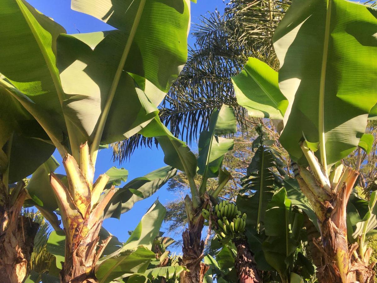 Hotel Vista Linda Montana Tambor  外观 照片