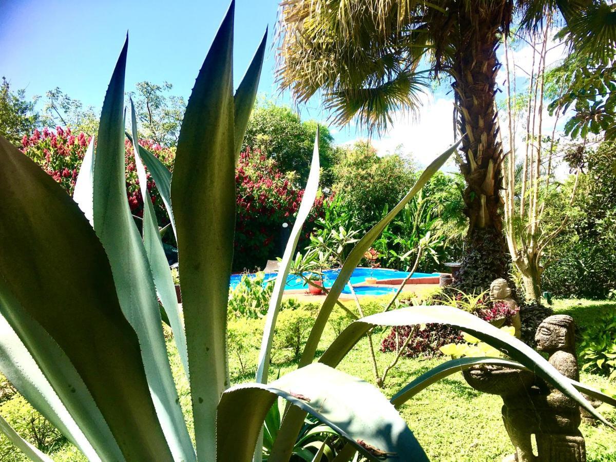 Hotel Vista Linda Montana Tambor  外观 照片